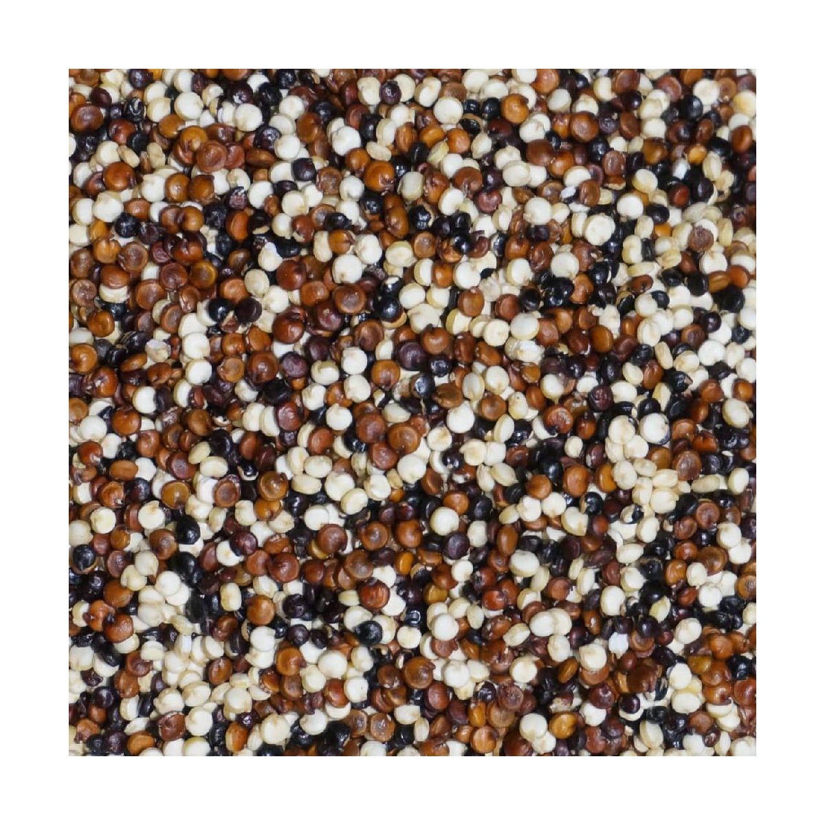 Quinoa Trio