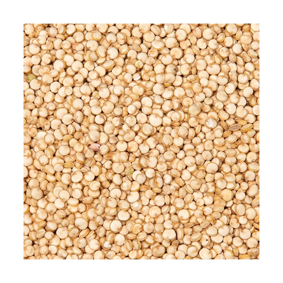 Quinoa