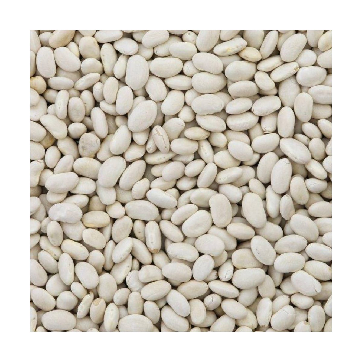 Witte bonen