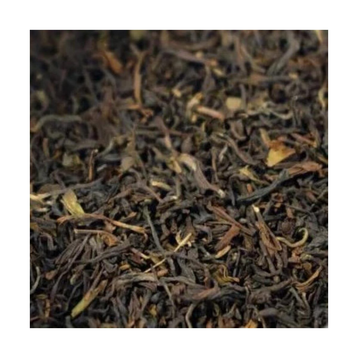 Darjeeling Thee