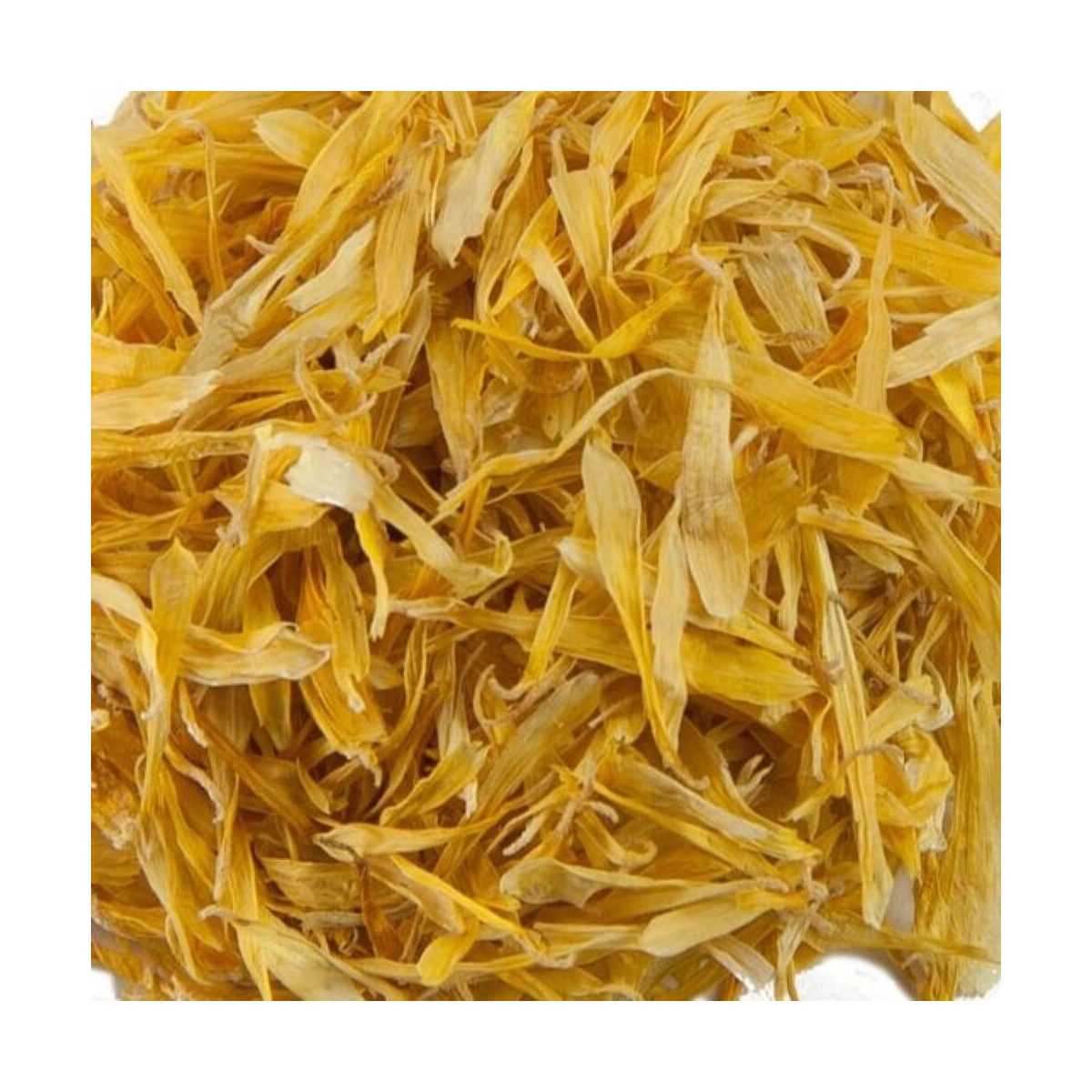 Goudsbloem - Calendula officinalis