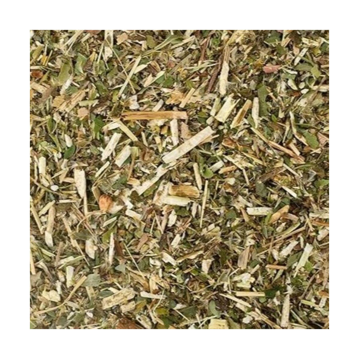 Guldenroede - Solidago virgaurea