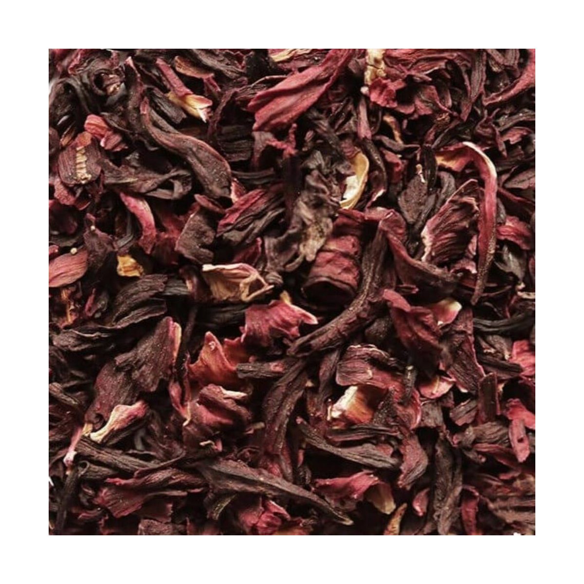 Hibiscus