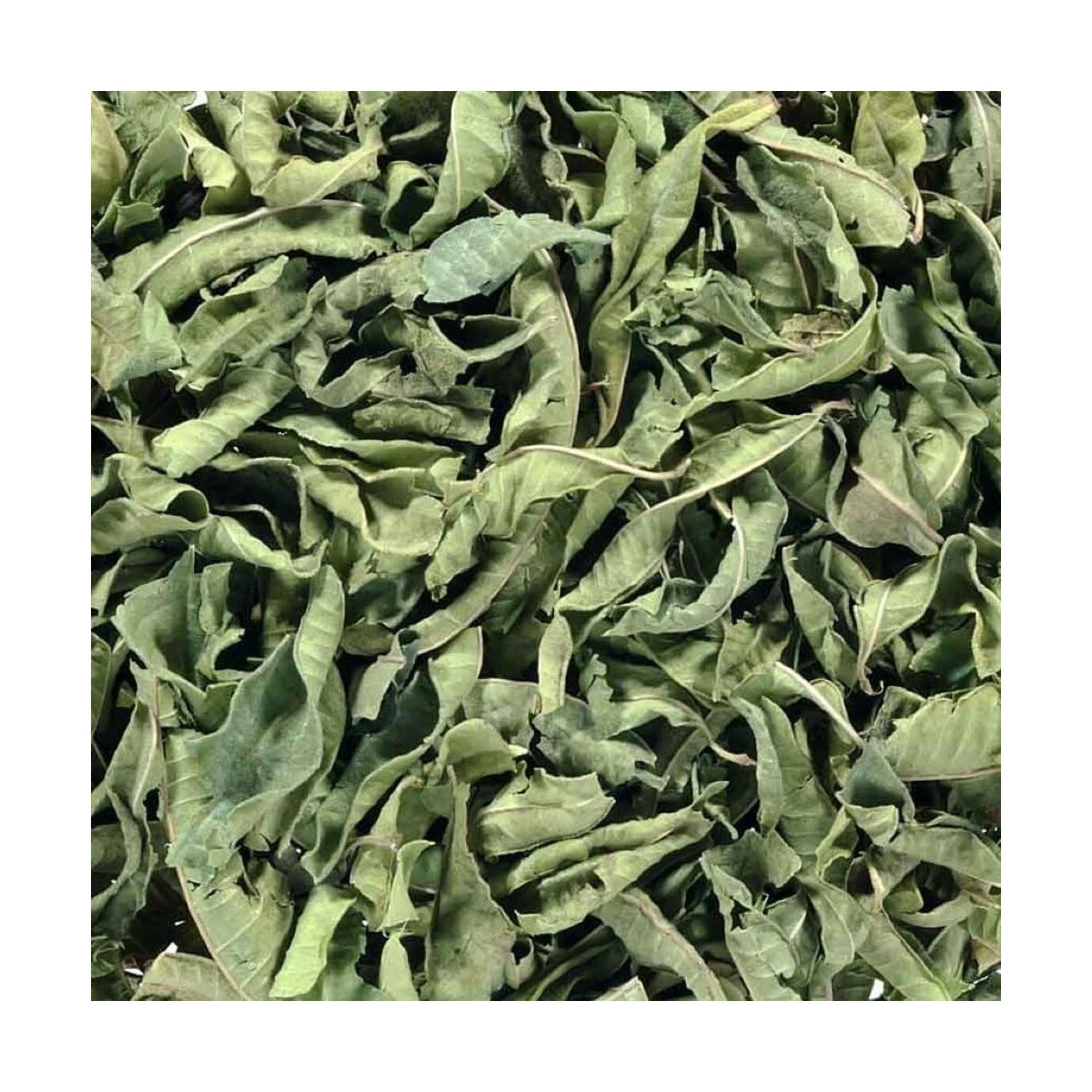 IJzerkruid heel – Citroenverbena - Verveine