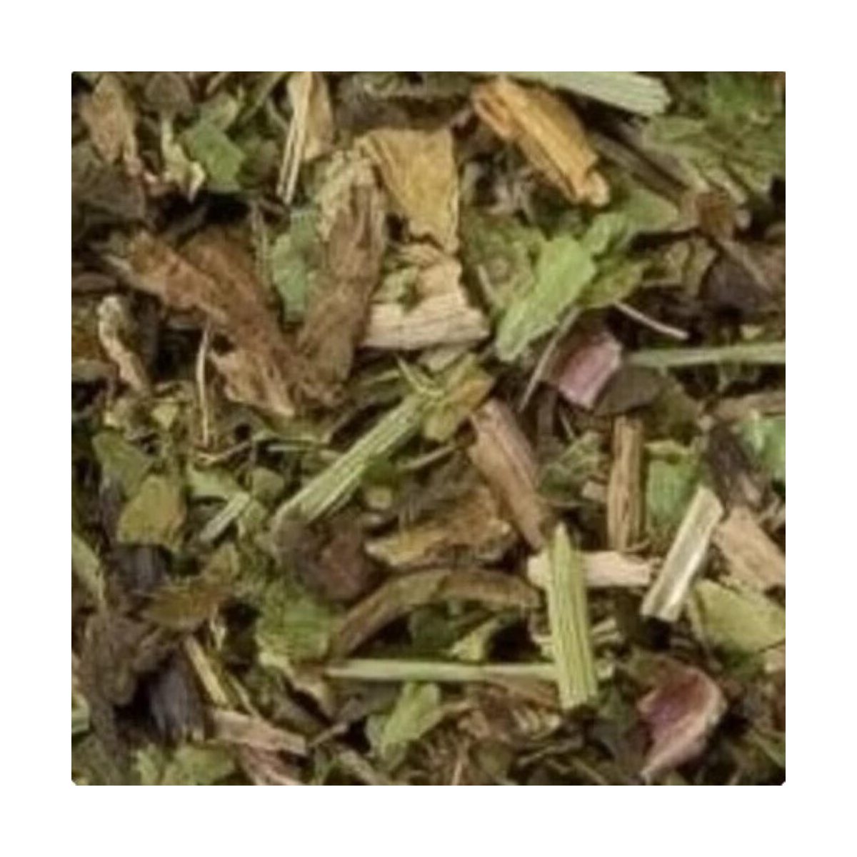 Paardenbloemkruid (taraxacum officinale)