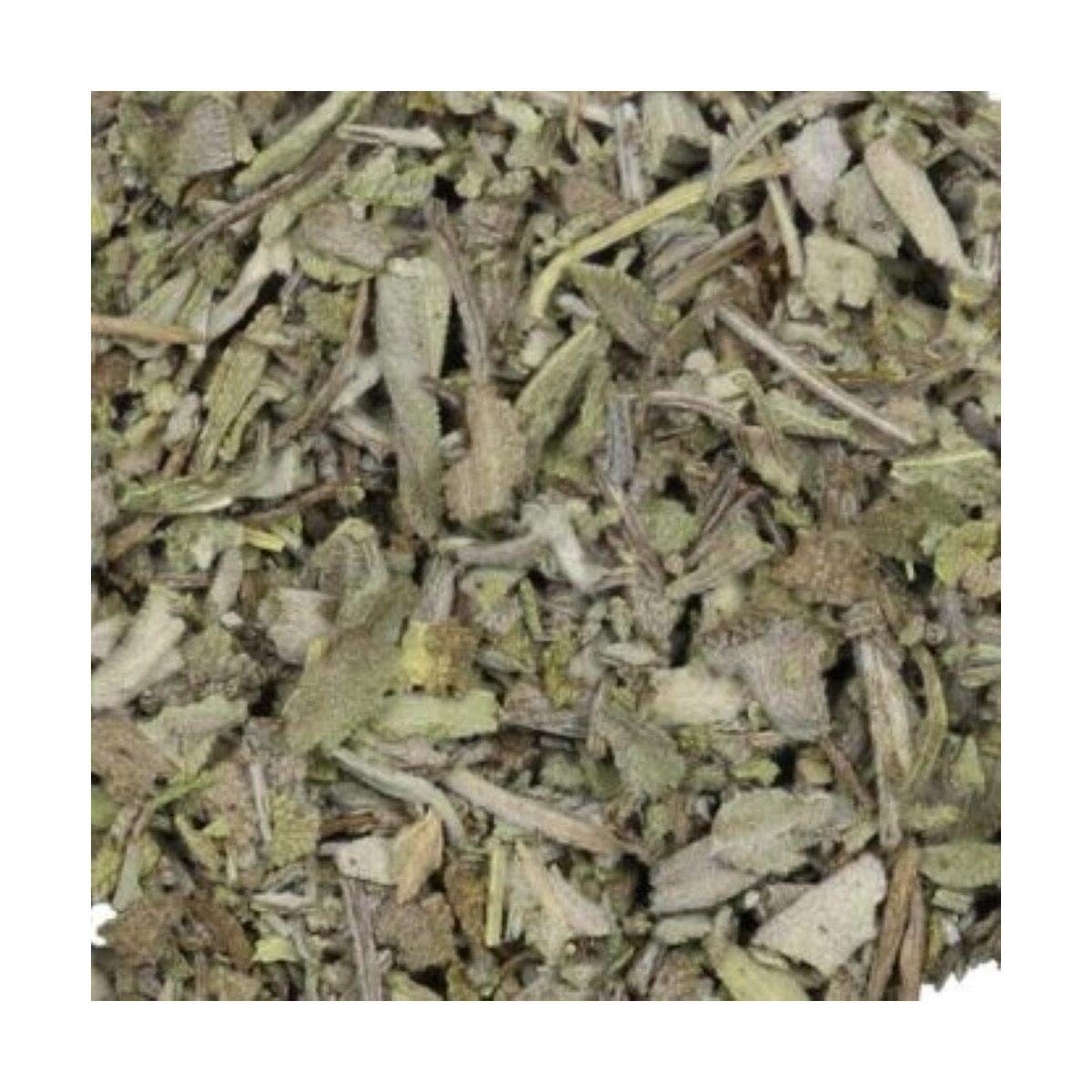 Salie - Salvia officinalis