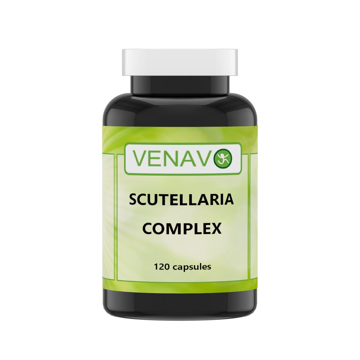 Scutellaria complex