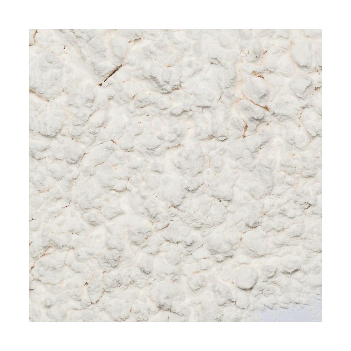 arrowroot