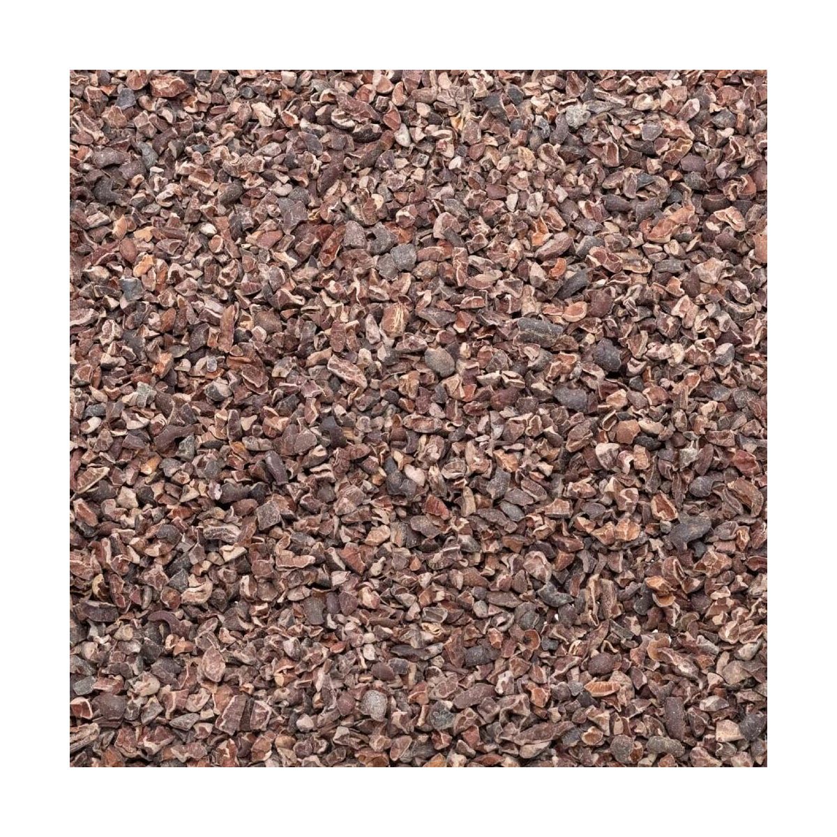 cacao nibs