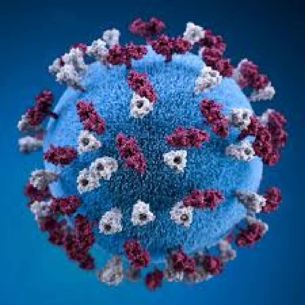 Coronavirus welke supplementen